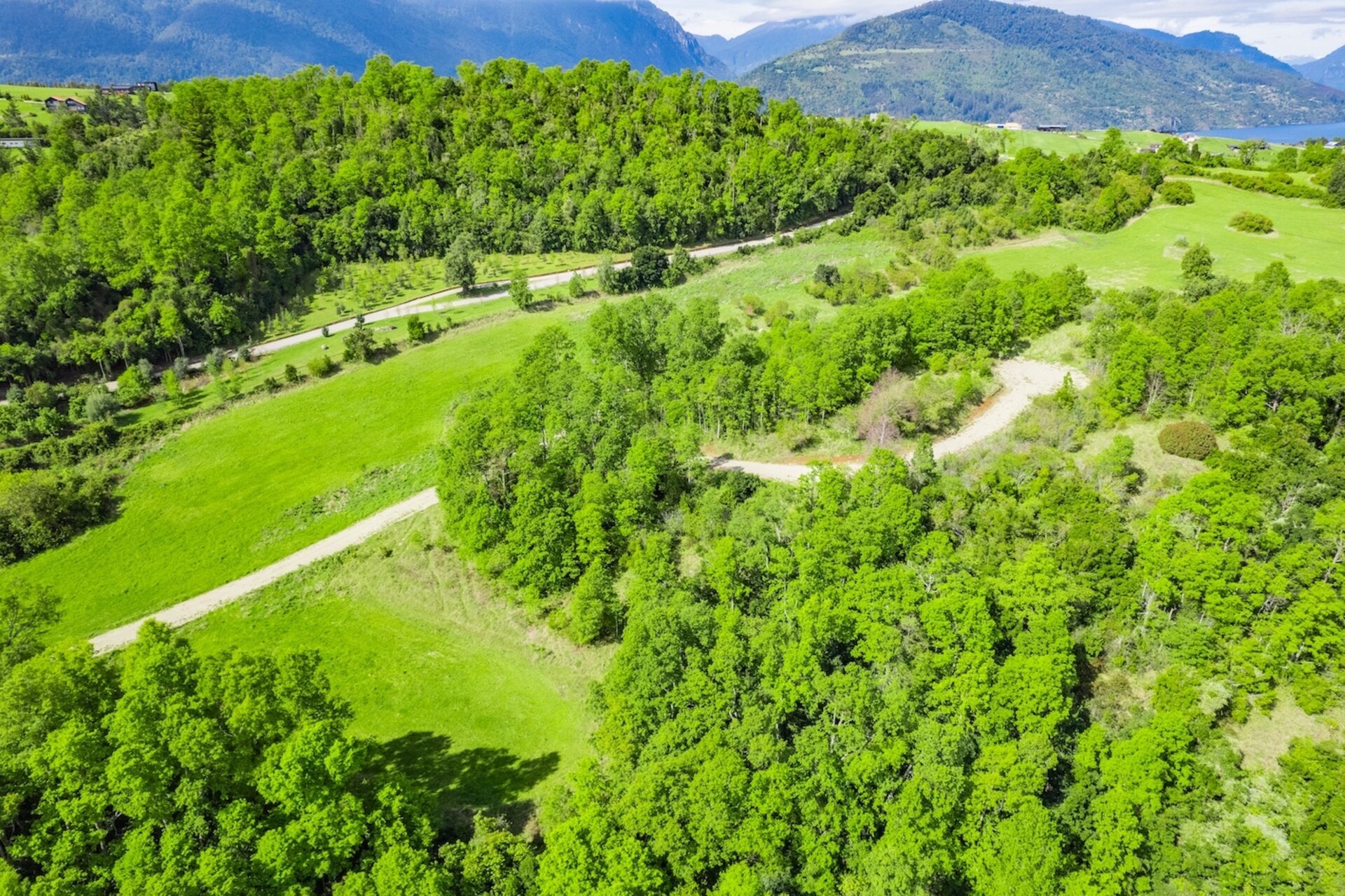 DJI_0087