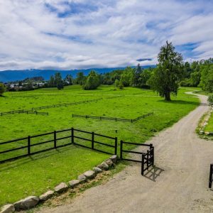 DJI_0021