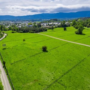 DJI_0050