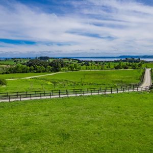 DJI_0079