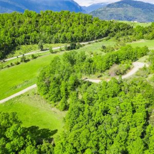DJI_0087